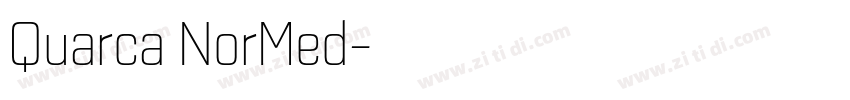 Quarca NorMed字体转换